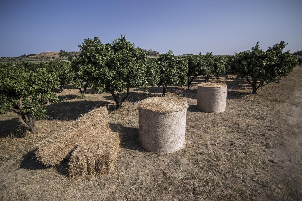 Agriturismo Il Giriatello Crotone Eksteriør bilde